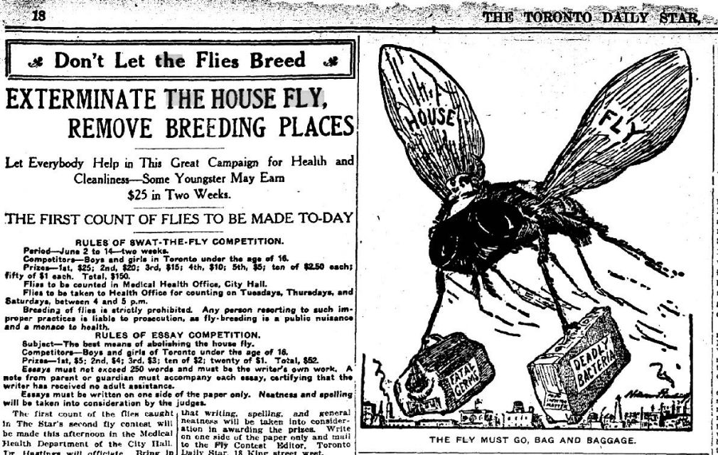 Fig. 10: Advertisement for the contest in a 1912 issue of the Toronto Daily Star - [The Star](https://www.thestar.com/news/insight/2015/08/08/beatrice-white-the-girl-who-killed-half-a-million-flies-for-toronto.html?rf)