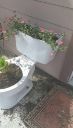 Fig. 2. Toilet used as a planter - Instructables Outside - [Source](https://www.instructables.com/Upcycled-Toilet-Planter/)