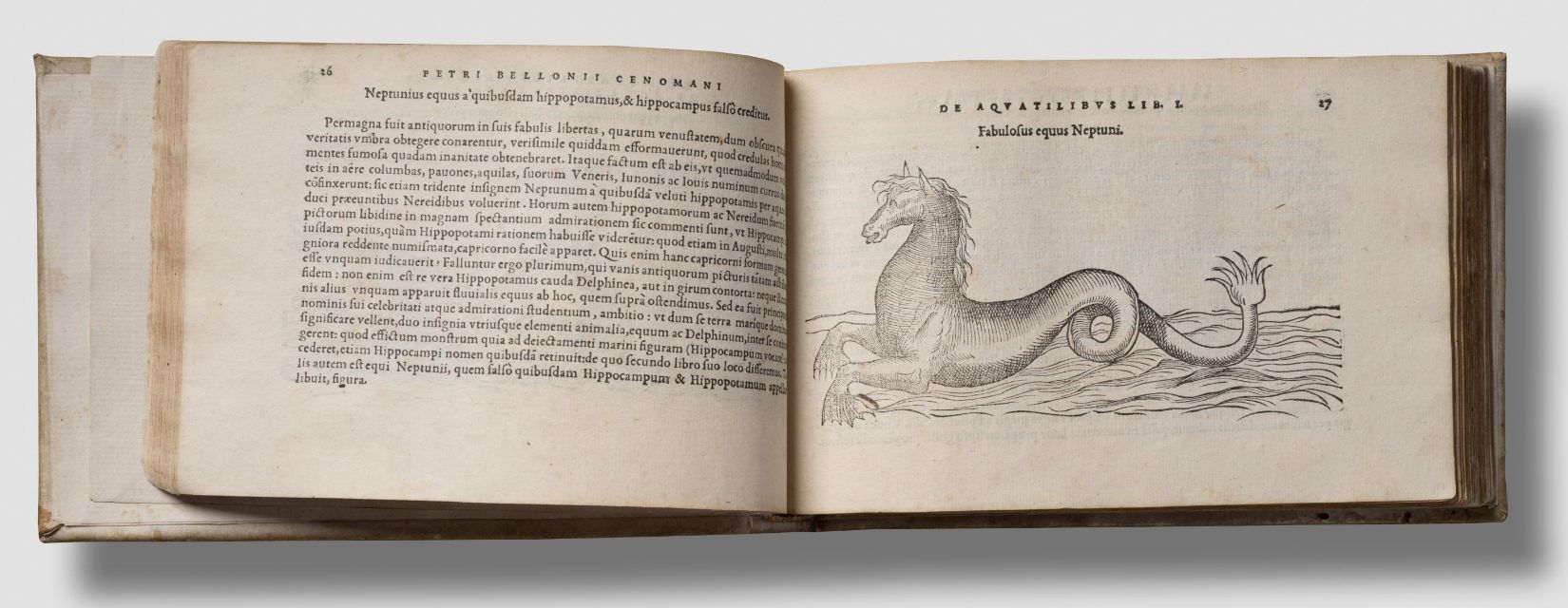 Pierre Belon, De Aquatilibus, 1553. Rare Fish Books Amsterdam](http://rarefishbooks.com/) - Fotografie Cees de Jonge