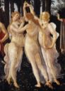 The Three Graces in "La Primavera" by Botticelli - detail
