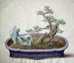 A myrtle plant (Cleistocalyx operculatus) - [The Penjing Album of Gotha](https://www.the-world-of-the-pots.com/8-museum/gothaer-album/)