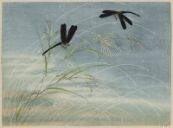 Textile sample with design of suzuki, rice crop and dragonflies, Silk, Japan, Edo Period, Museum of Fine Arts Boston, [98.391](https://collections.mfa.org/objects/186333/textile-sample;jsessionid=6363EF80ECC13AF3F1A345AB97062231)