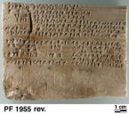 Persepolis Cuneiform tablet with ink - OI University of Chicago - PF 1955 Rev.jpg