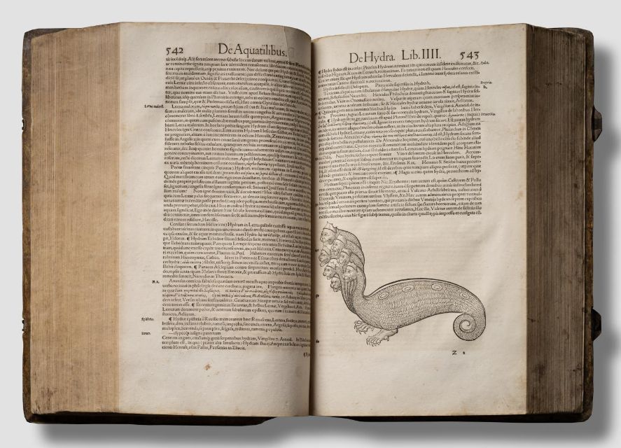 Conrad Gessner, Historia Piscium, 1558 [Rare Fish Books Amsterdam](http://rarefishbooks.com/) - Photography Cees de Jonge