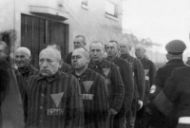 Fig. 10: Prisoners wearing pink triangles on their uniforms, Sachsenhausen concentration camp in Germany on Dec. 19, 1938.