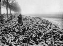 Fig. 3 Discarded shell cases during the war - [rarehistoricalphotos.com](https://rarehistoricalphotos.com/shells-creeping-bombardment-on-german-lines-1916/)