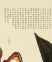 **Fig. 9.** Detail of impression of the page with the Oxhorn clam in the _Illustrated Catalogue of Marine Creatures_ - Facsimiles by [Gu Gong Beijing](https://www.dpm.org.cn/periodical/238057.html)