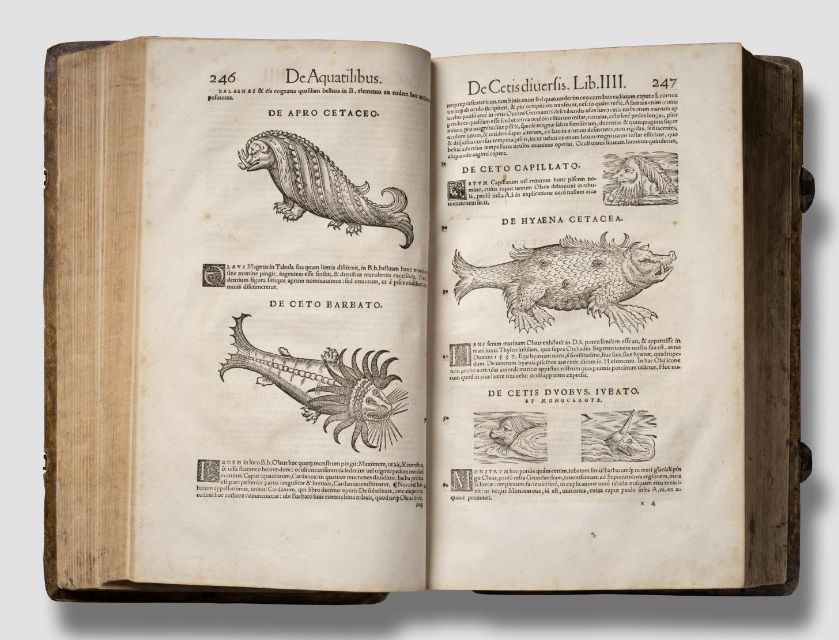 Conrad Gessner, Historia Piscium, 1558 [Rare Fish Books Amsterdam](http://rarefishbooks.com/) - Photography Cees de Jonge