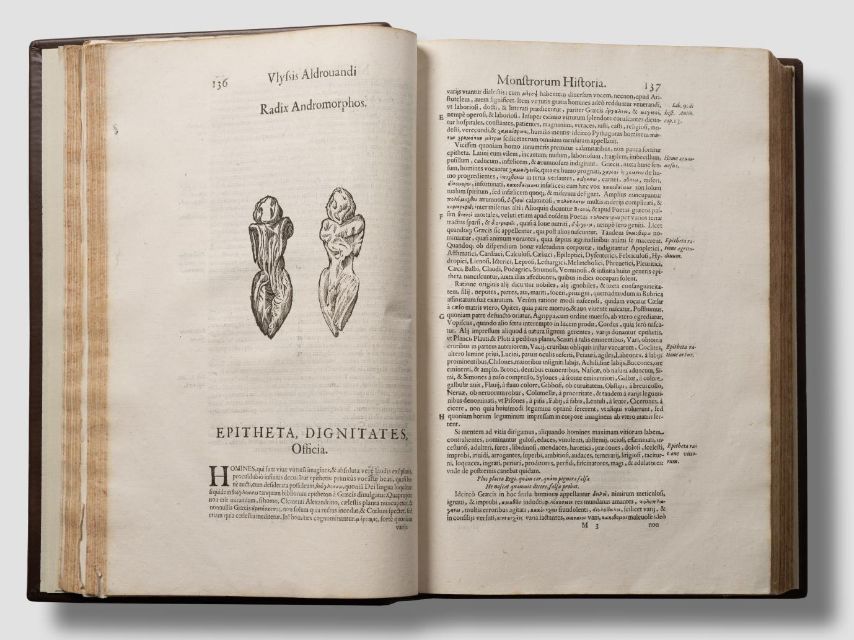 Aldrovandi, U., Ambrosinus, B., Bernia, M. A., & Tebaldini, Nicolai. (1642). Vlyssis Aldrovandi patricii Bononiensis Monstrorvm historia : cvm Paralipomenis historiæ omnivm animalivm. Bononiæ: typis Nicolai Tebaldini - [Collection Rijksmuseum Boerhaave](https://catalogue.leidenuniv.nl/permalink/f/89hc1e/UBL_ALMA21176983760002711) - Rijksmuseum Boerhaave - Photography Cees de Jonge