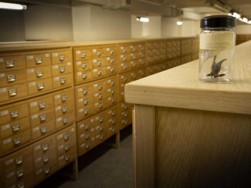 Bovenop de kast in Rijksmuseum Boerhaave - Fotografie Cees de Jonge