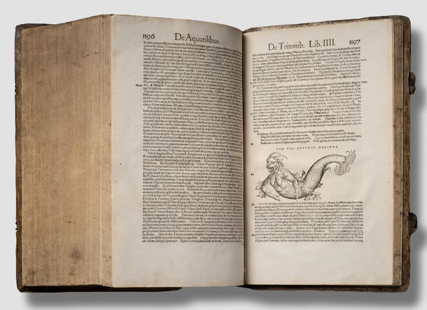 Conrad Gessner, Historia Piscium, 1558 [Rare Fish Books Amsterdam](http://rarefishbooks.com/) - Fotografie Cees de Jonge