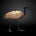 Figure 1: A Ptolemaic ibis from Hermopolis. [Wikimedia](https://commons.wikimedia.org/wiki/File:Ibis_coffin-MAHG_20148-IMG_1648-gradient.jpg)