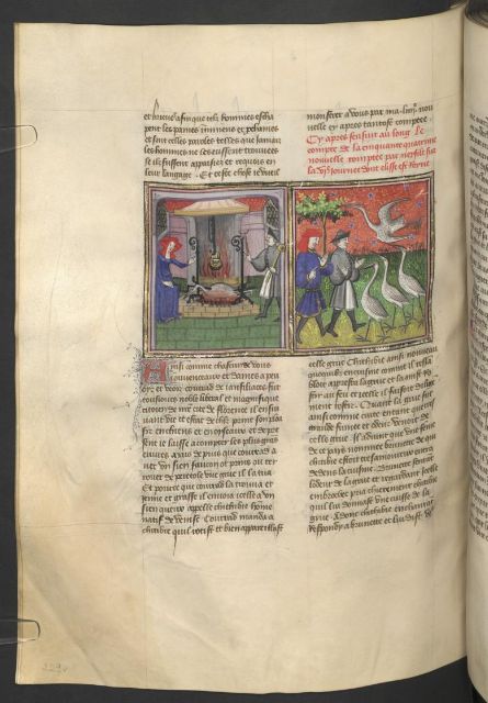 Fig: Miniatore francese (1425-1450), [Chichibio offre una coscia della gru a Brunetta; Chichibio e Currado osservano le gru](http://www.enteboccaccio.it/s/casa-boccaccio/item/826)