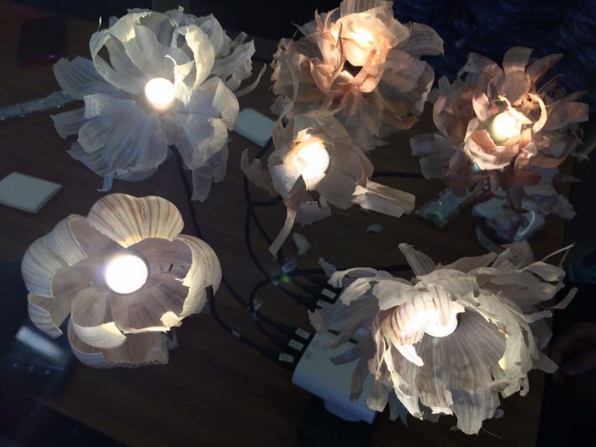 Fig 1: Garlic Lights made during [workshop](https://www.facebook.com/a.miracle.life/photos/pcb.114859935577024/114859432243741/)