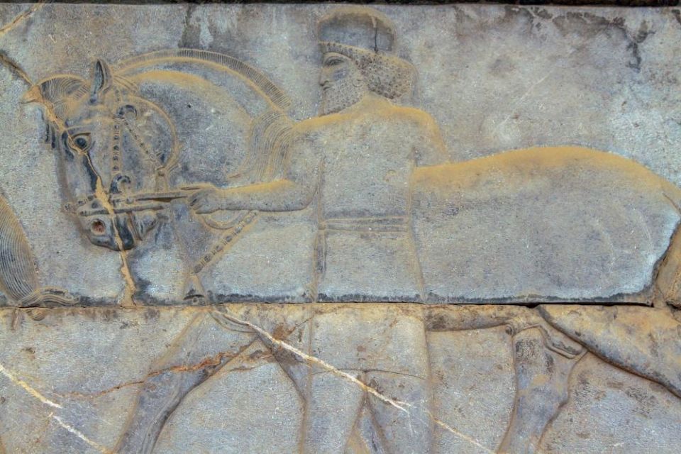 Fig 16: Relief of a horseman and his horse from Persepolis – [wikicommons](https://commons.wikimedia.org/wiki/File:Reliefs_in_Persepolis_%D9%86%DA%AF%D8%A7%D8%B1%D9%87_%D9%87%D8%A7%DB%8C_%D8%AA%D8%AE%D8%AA_%D8%AC%D9%85%D8%B4%DB%8C%D8%AF_22.jpg)