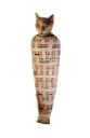 Fig. 3 - Votieve mummie van een kat - the British Museum - [EA37348](https://www.britishmuseum.org/collection/object/Y_EA37348)