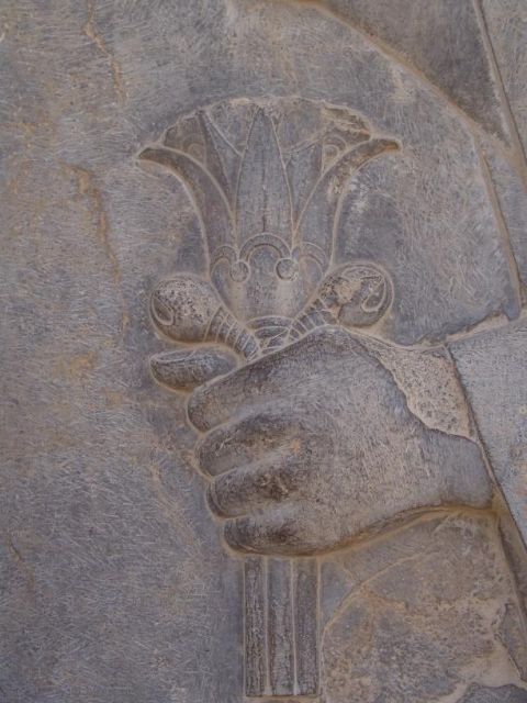 Fig 20: The lotus flower was frequently depicted in the hands of high officials on reliefs from Persepolis – [wikicommons](https://commons.wikimedia.org/wiki/File:Persepolis-Darafsh_1_(65).JPG)