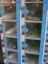 Vegetables machine - [Kuriositas.com](https://www.kuriositas.com/2012/07/japan-land-of-vending-machines.html)