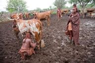 A Himba woman and the life-sustaining animal - [Eyes on Africa](http://www.eyesonafrica.net/african-safari-namibia/skeleton-coast/content/SkeletonCoast_114_large.html).jpg