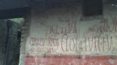 Fig. 3 - Election slogans on the wall of a pub in Pompeii in rustic capitals - [Wikimedia Commons](https://commons.wikimedia.org/wiki/Category:Capitalis_rustica#/media/File:Affiche_%C3%A9lectorale_tr%C3%A8s_ancienne.JPG)