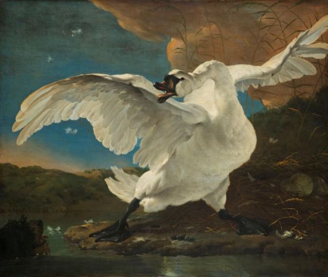 Jan Asselijn’s The Threatened Swan (c.1650) - [Rijksmuseum](http://hdl.handle.net/10934/RM0001.COLLECT.5829) 