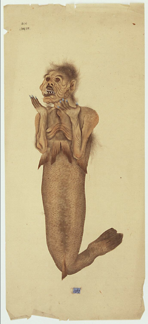 Fig. 2 - Kawahara Keiga, Painting of Mermaid, 1820-1823 - [Nationaal Museum van Wereldculturen](https://hdl.handle.net/20.500.11840/840881)