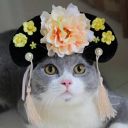 Qing headdress for cats - aliexpress.jpg