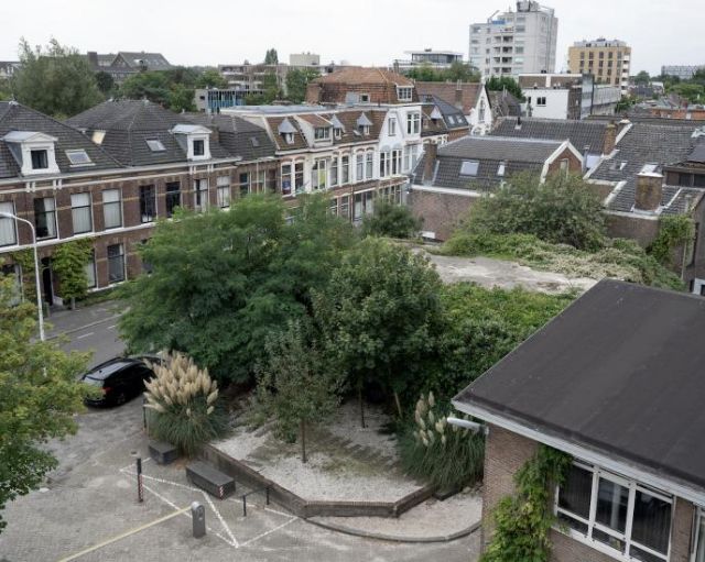 Fig. 1. Zicht op de bunker van boven. Foto door Cees de Jonge. 