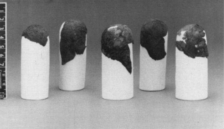 Fig. 2: Five fragments of animal-membrane condom from the keep garderobe, Dudley Castle, West Midlands (photograph Dudley Metropolitan Borough Council). [Tandfonline](https://www.tandfonline.com/doi/abs/10.1179/pma.1996.003)