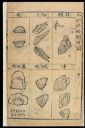 **Fig. 13.** Chinese materia medica, Shellfish - Via [Wellcome Collection](https://wellcomecollection.org/works/t6cmt54n?wellcomeImagesUrl=/indexplus/image/L0039332.html)