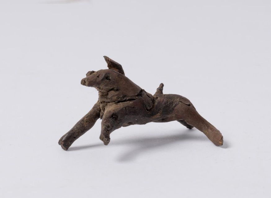 This mandrake resembles a bull - Rijksmuseum Boerhaave - Photography Cees de Jonge