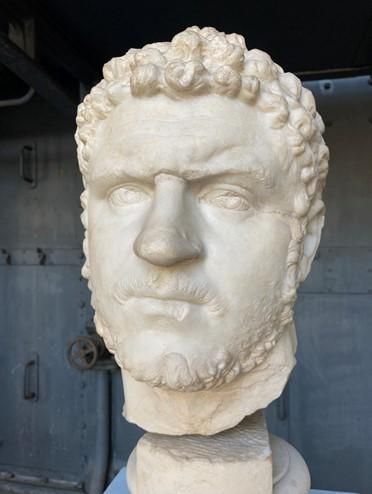 Fig 1: “Caracalla” Centrale Montemartini Roma. Photograph by Janine Arendt. 